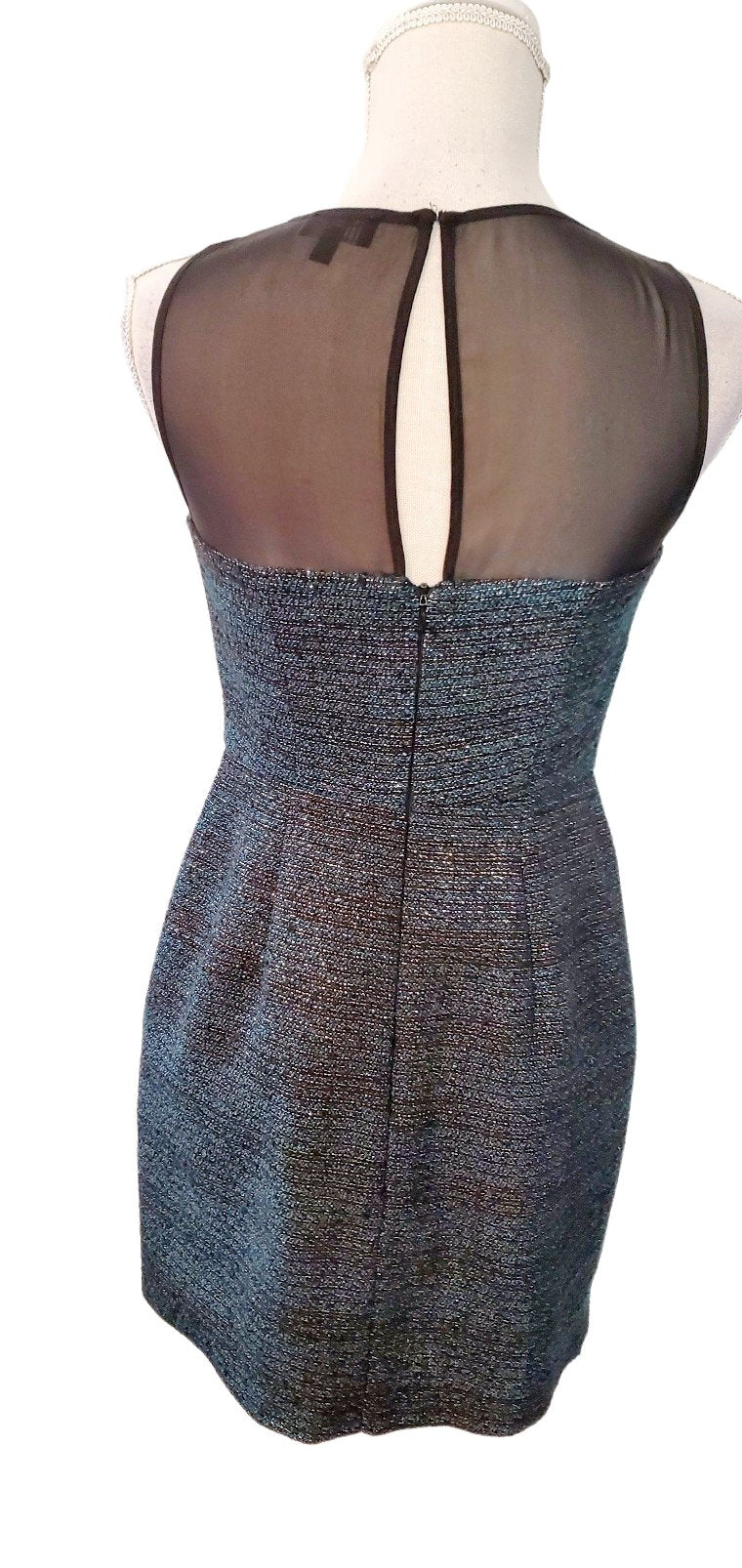 Sleeveless Mesh Bodice Sparkly Holiday Dress Size 2P