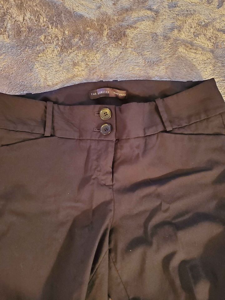 The Limited Exact Stretch Skinny Pants Sz 8 - WHIMSICALIA