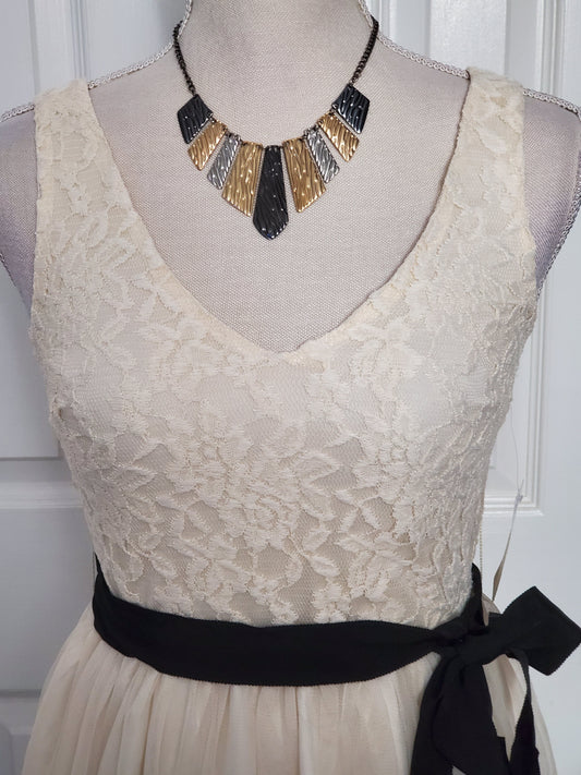 Forever 21 Chiffon Fit and Flare Dress NWT Size Small