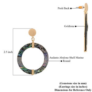 Abalone Shell Marine Hoop Earrings